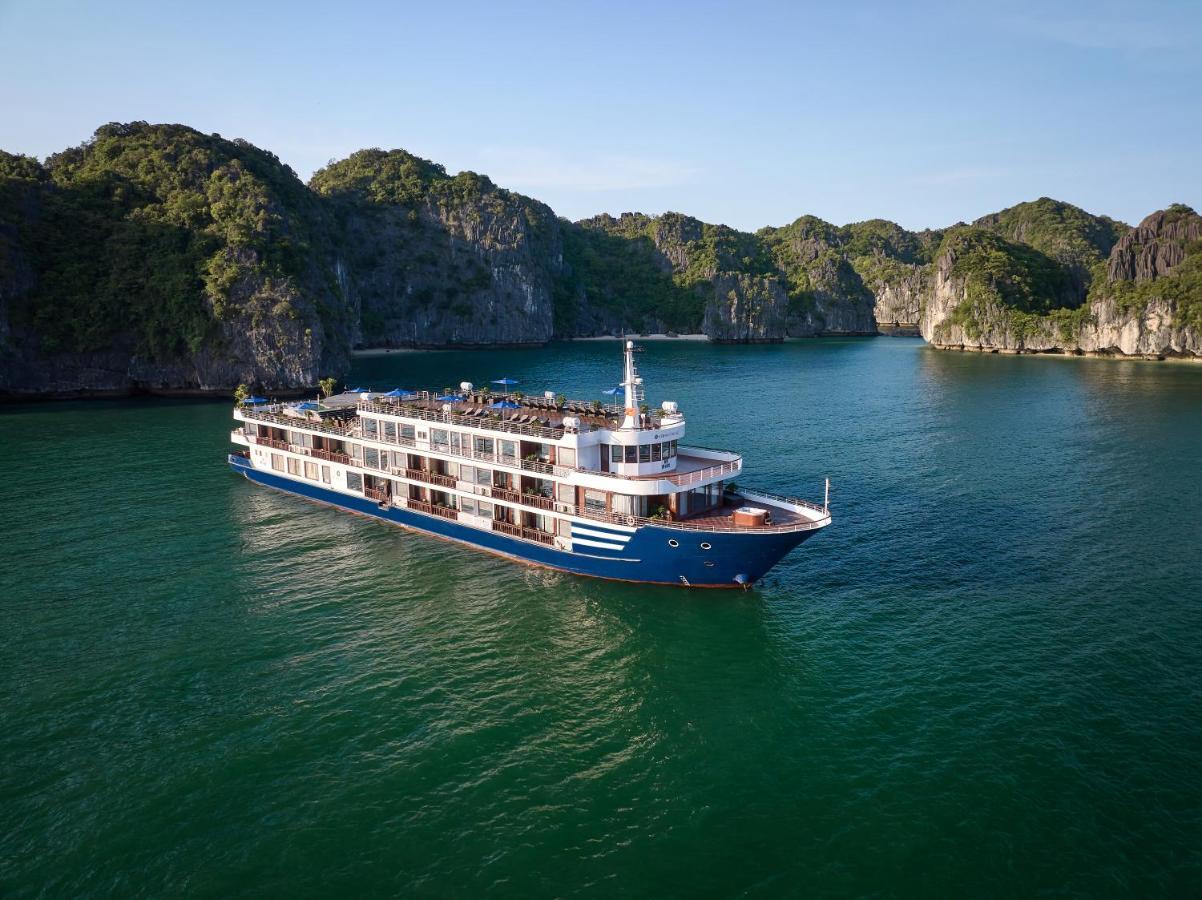  Erina Cruise By Hag