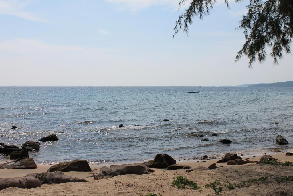 Bo Phu Quoc
