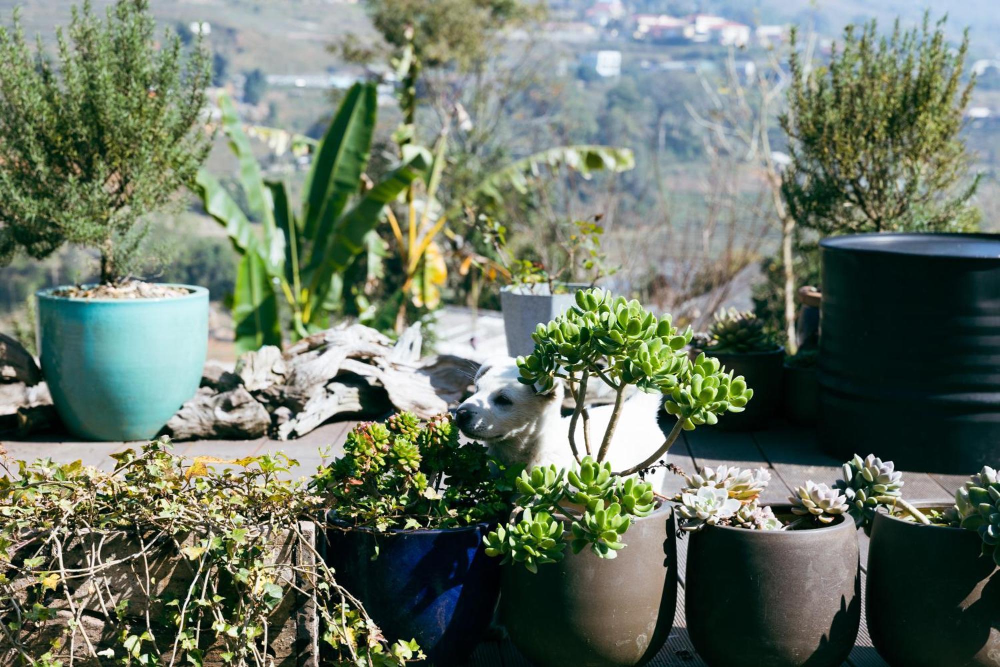 Plum Eco House Hotel