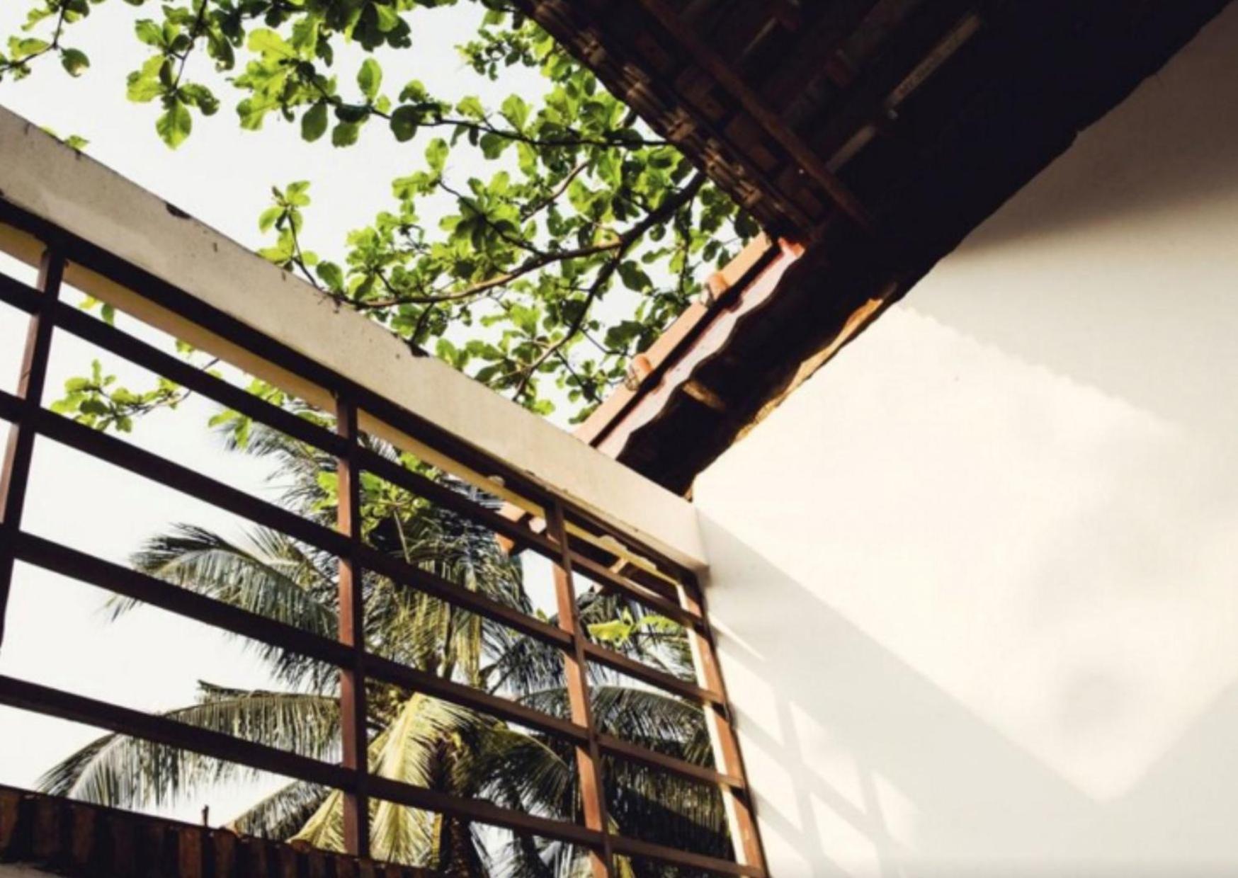 Resort Bamboo