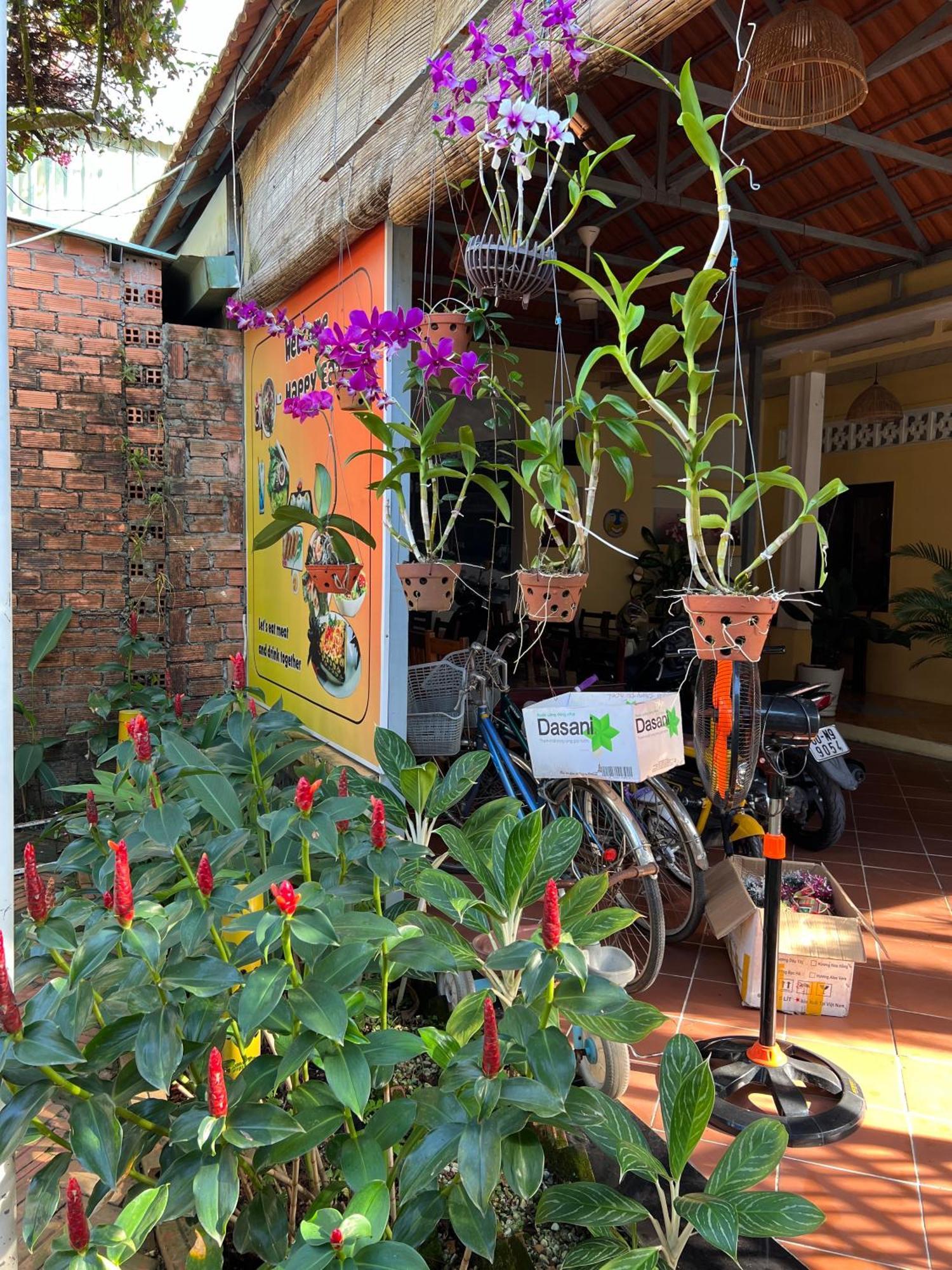 Homestay Tropical Garden Phu Quoc
