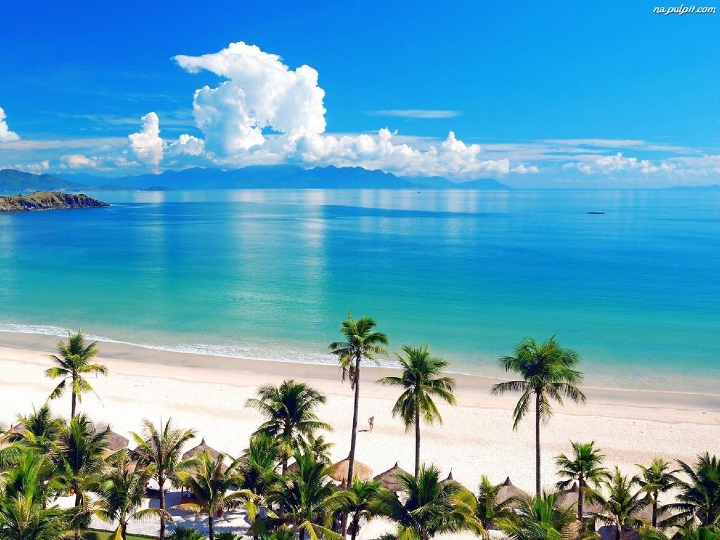 Sunny Nha Trang