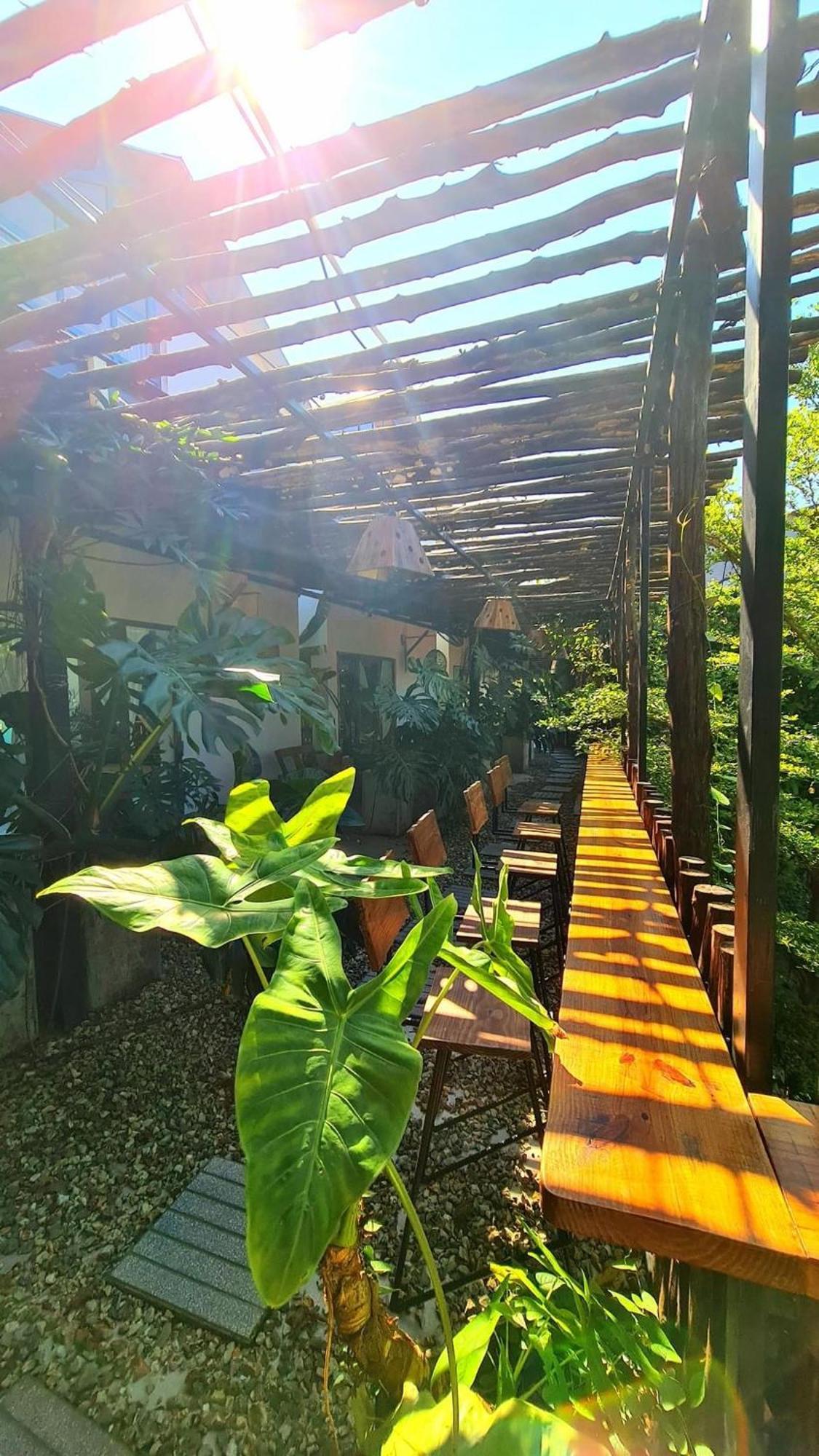 Tinh House 2*
