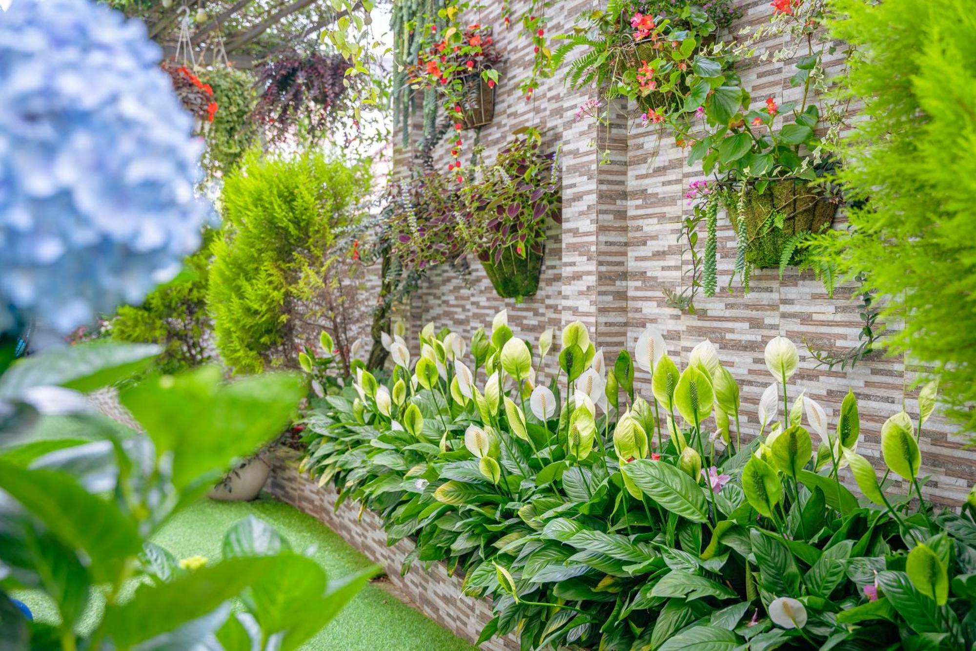Minh Chien 3* Da Lat