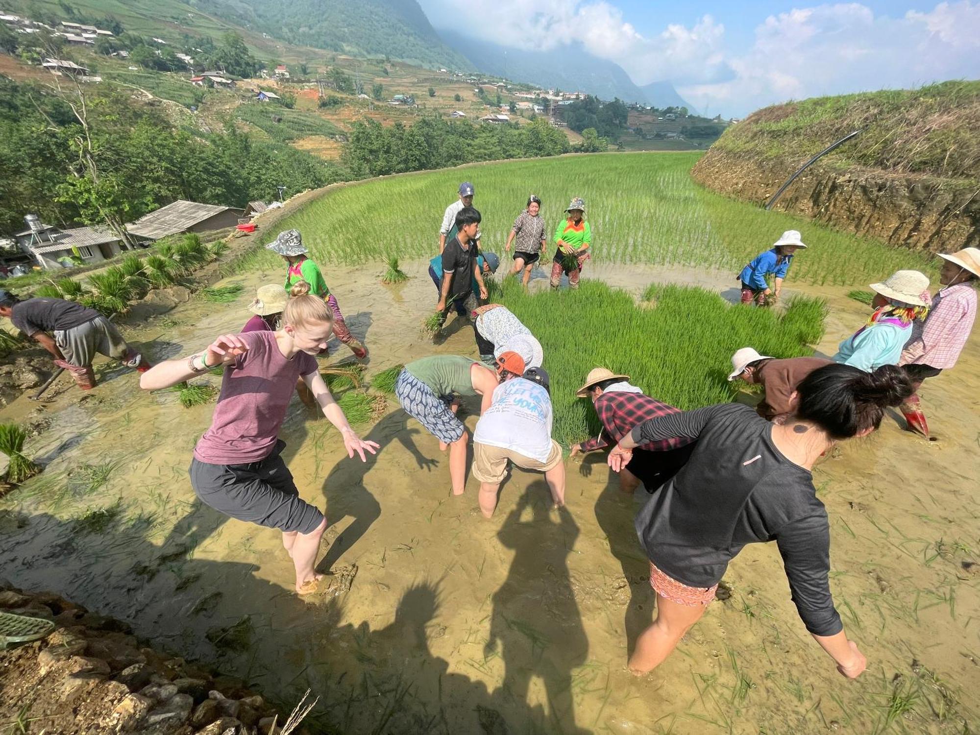 Homestay Tavan Chopai Sa Pa