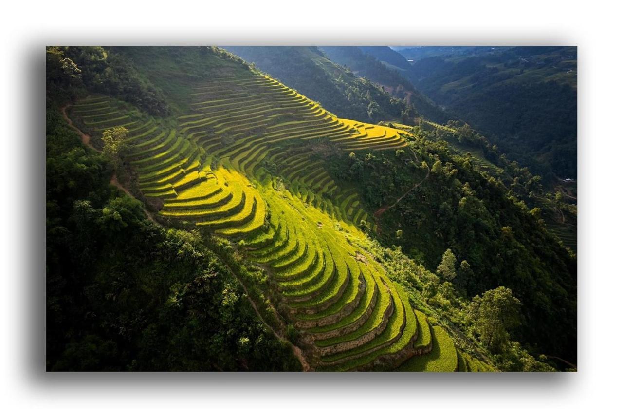 Hotel Tiger Sa Pa