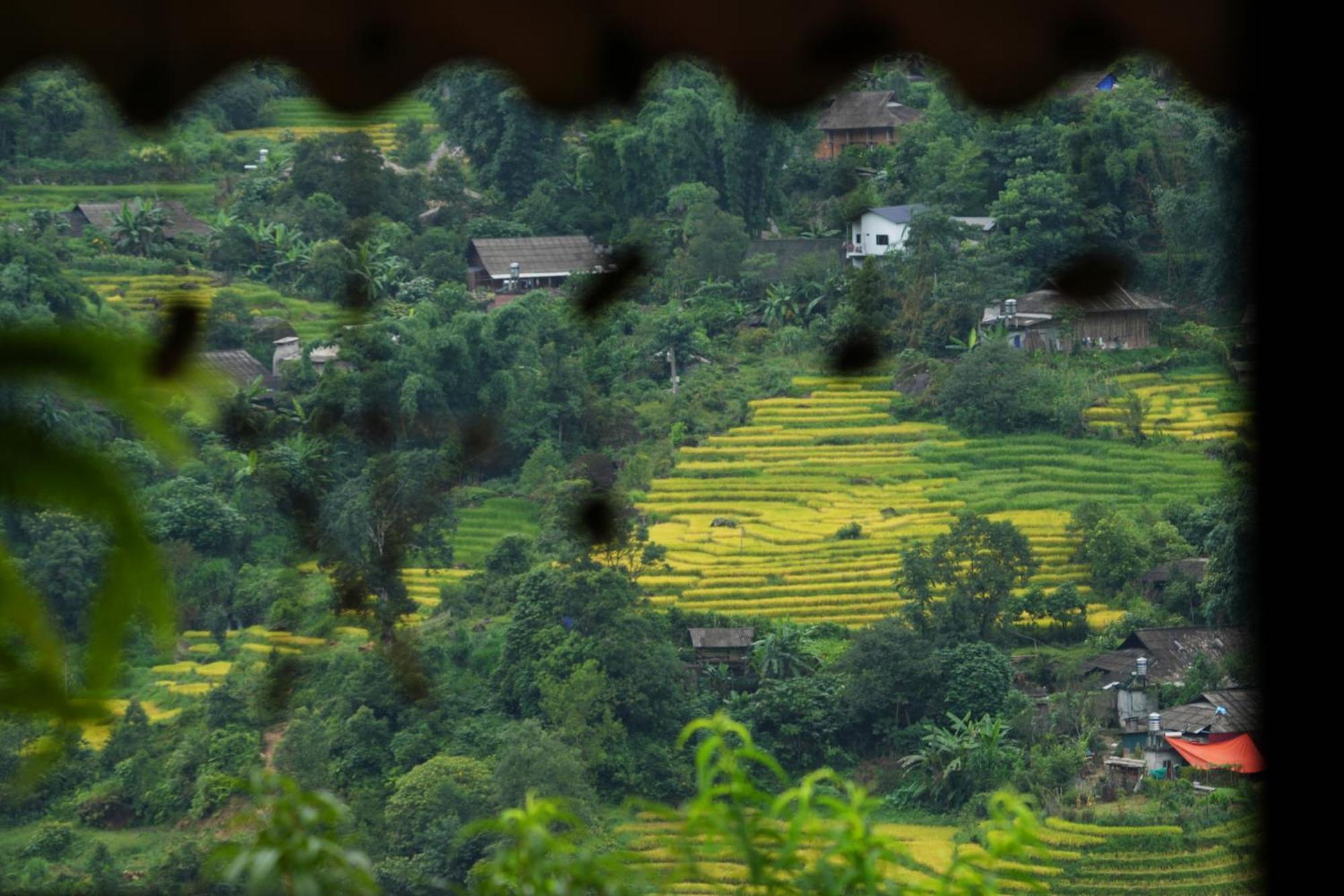 La Beaute Homestay Sa Pa