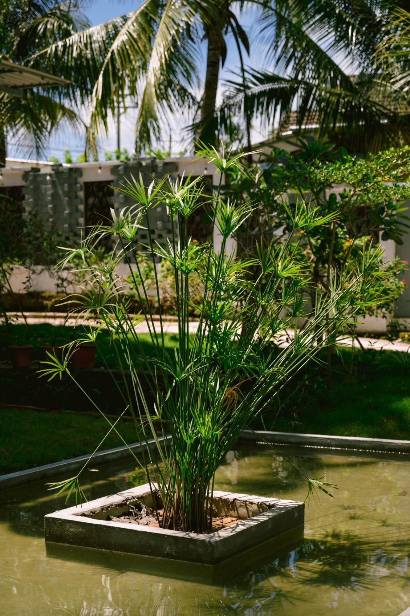 Hotel Lilac Phú Quốc