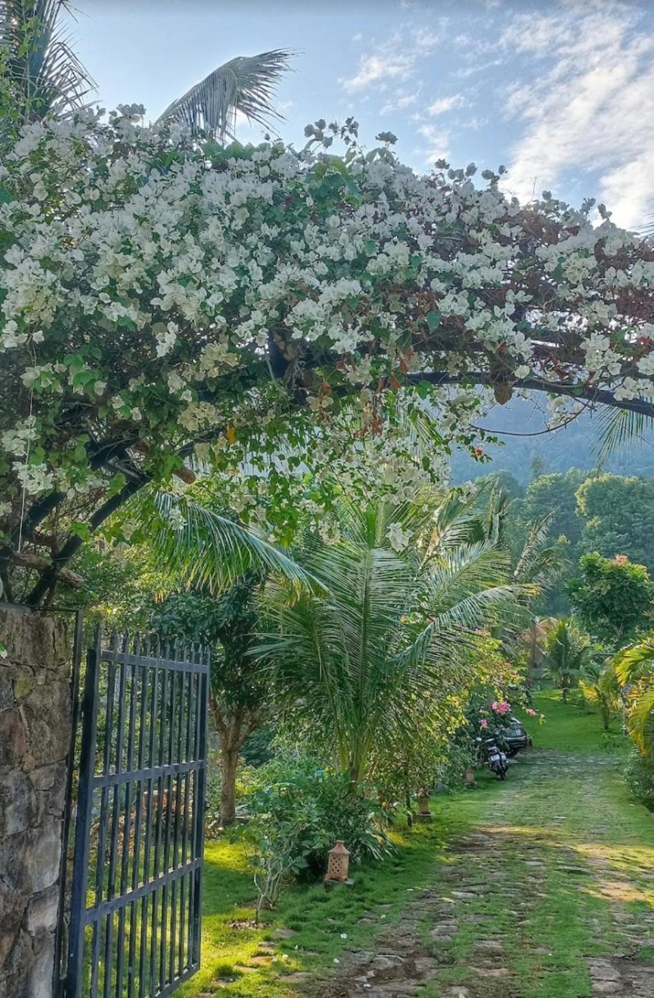 Freedom Homestay
