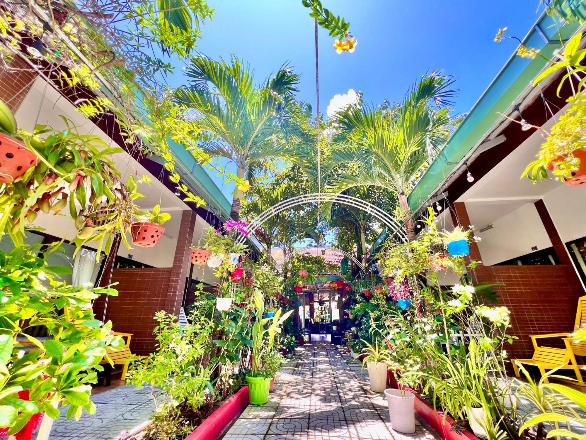 Canary Guest house 3*