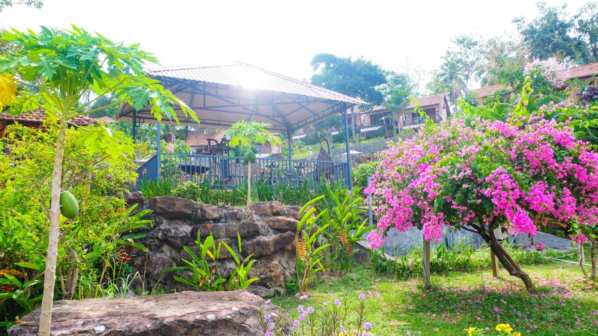 Daisy & Phu Quoc
