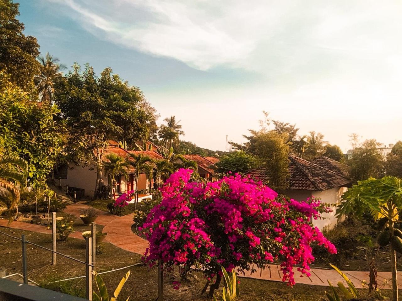 Daisy & Resort Phu Quoc