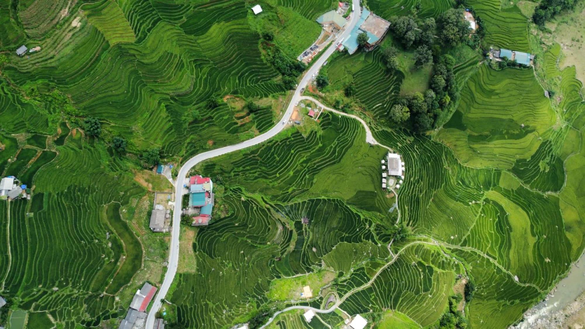 Homestay Hoa's Sa Pa