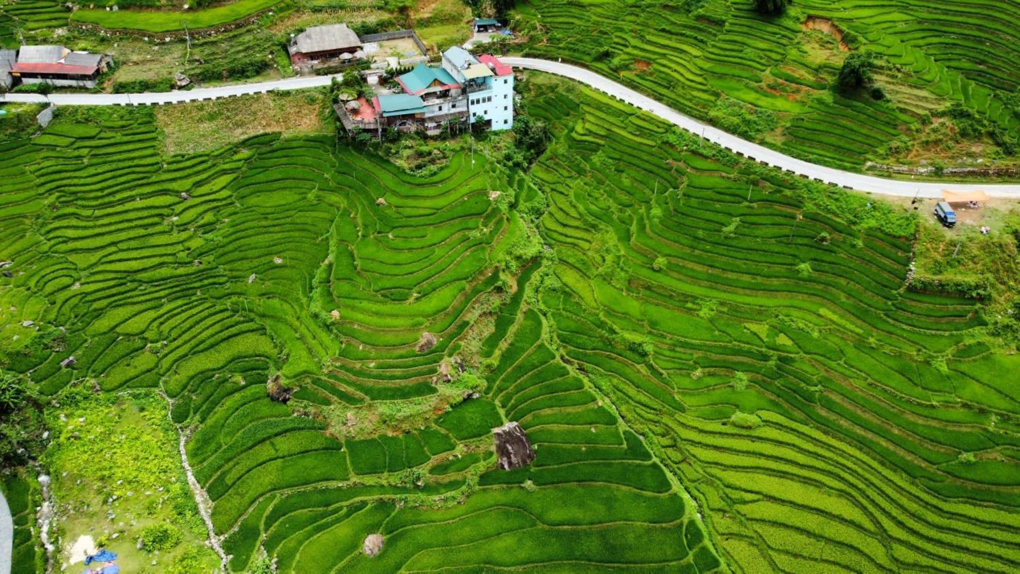 Hoa's Homestay