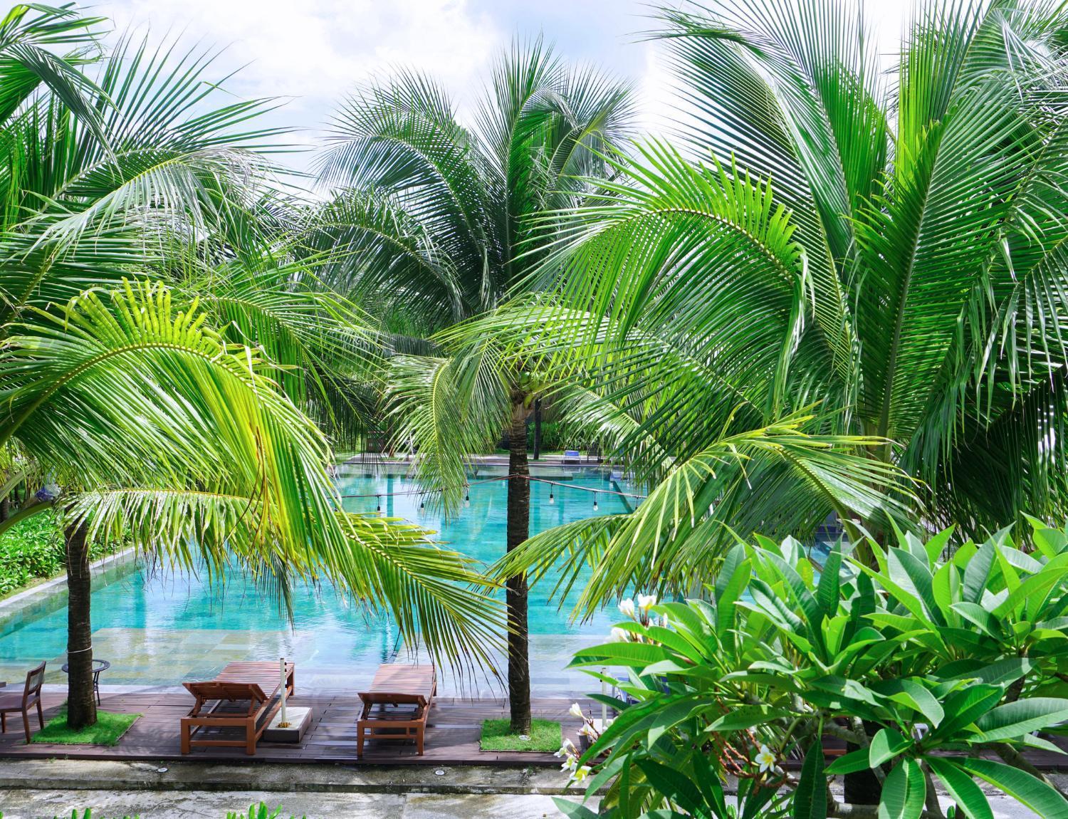 Resort Sonaga Villas