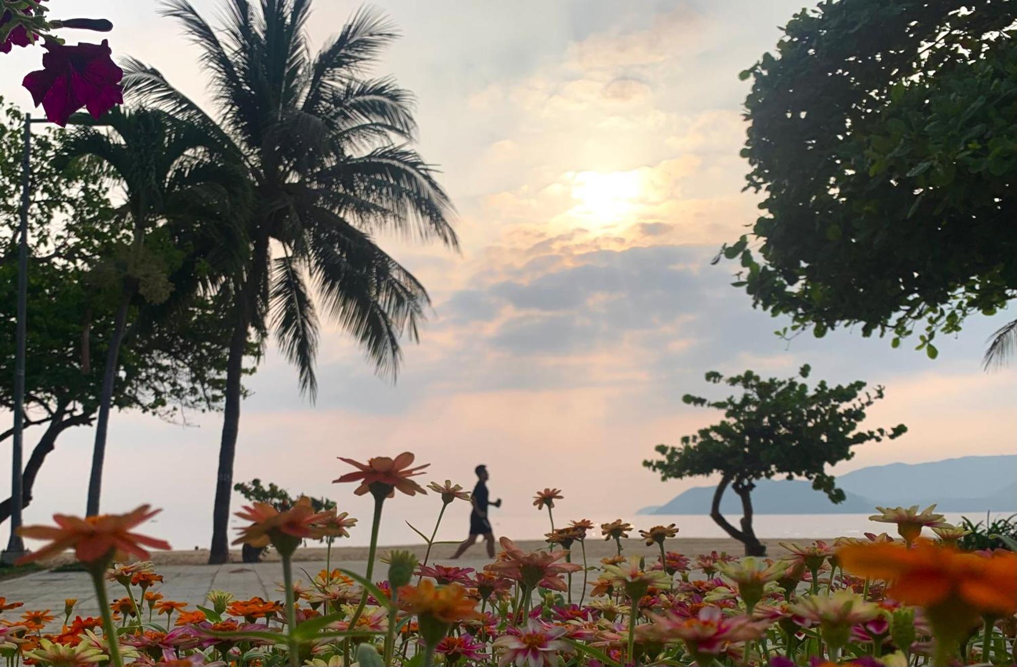 Saphia 3* Nha Trang