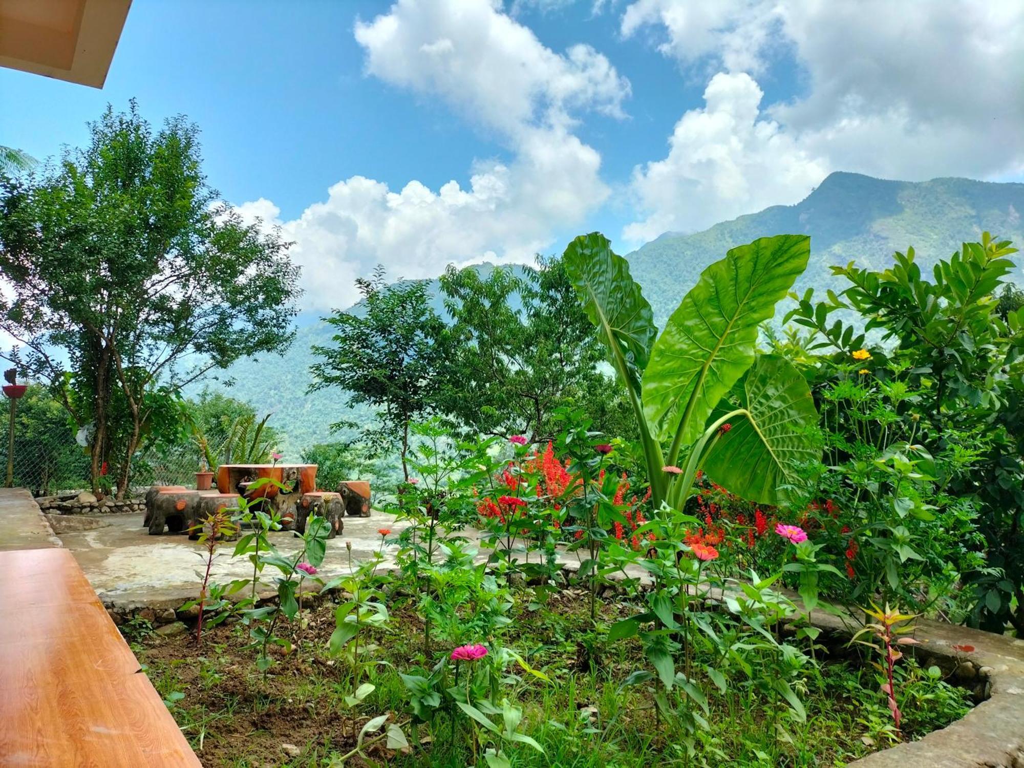 Homestay Muong Hoa Hmong Sa Pa