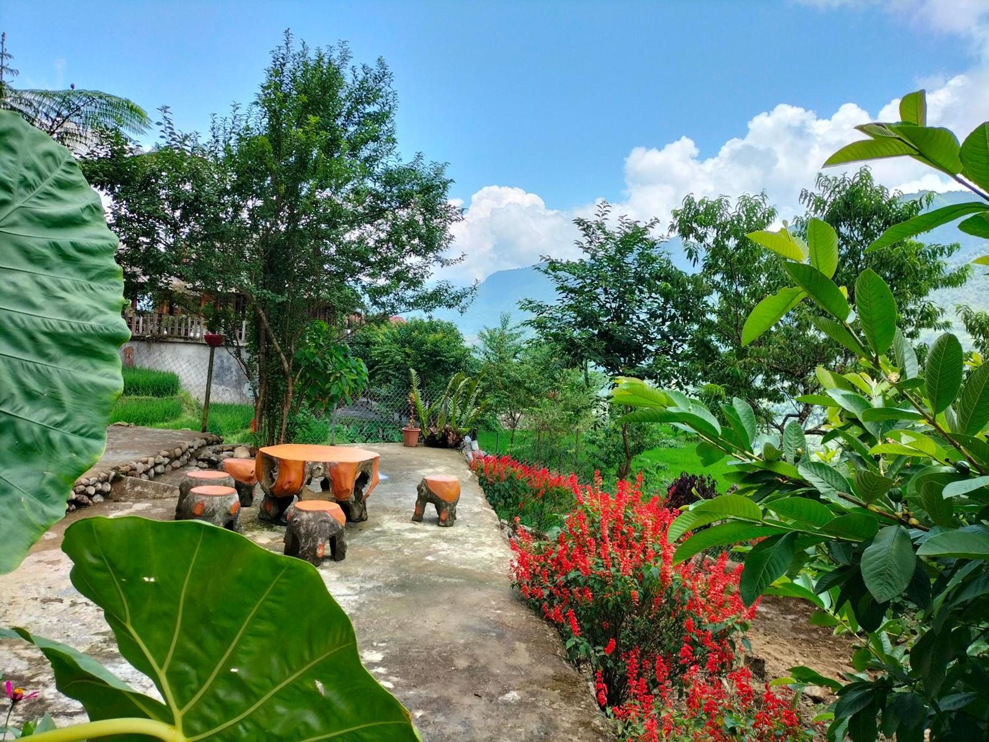 Muong Hoa Hmong Homestay Sa Pa