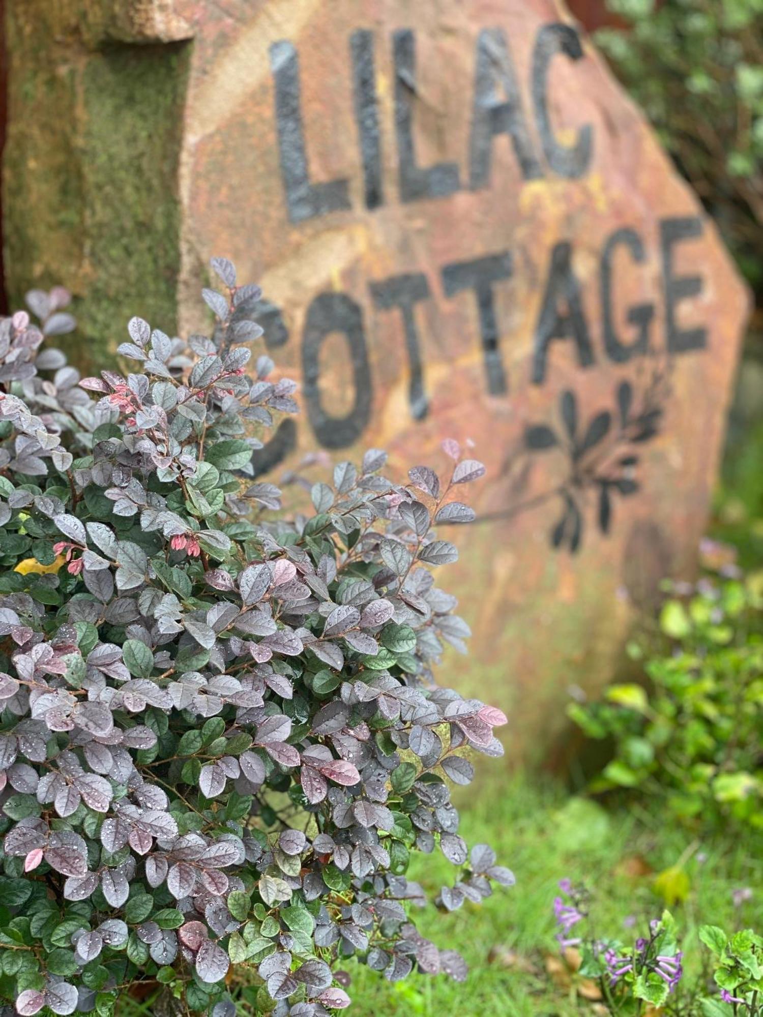 Lilac Hotel *