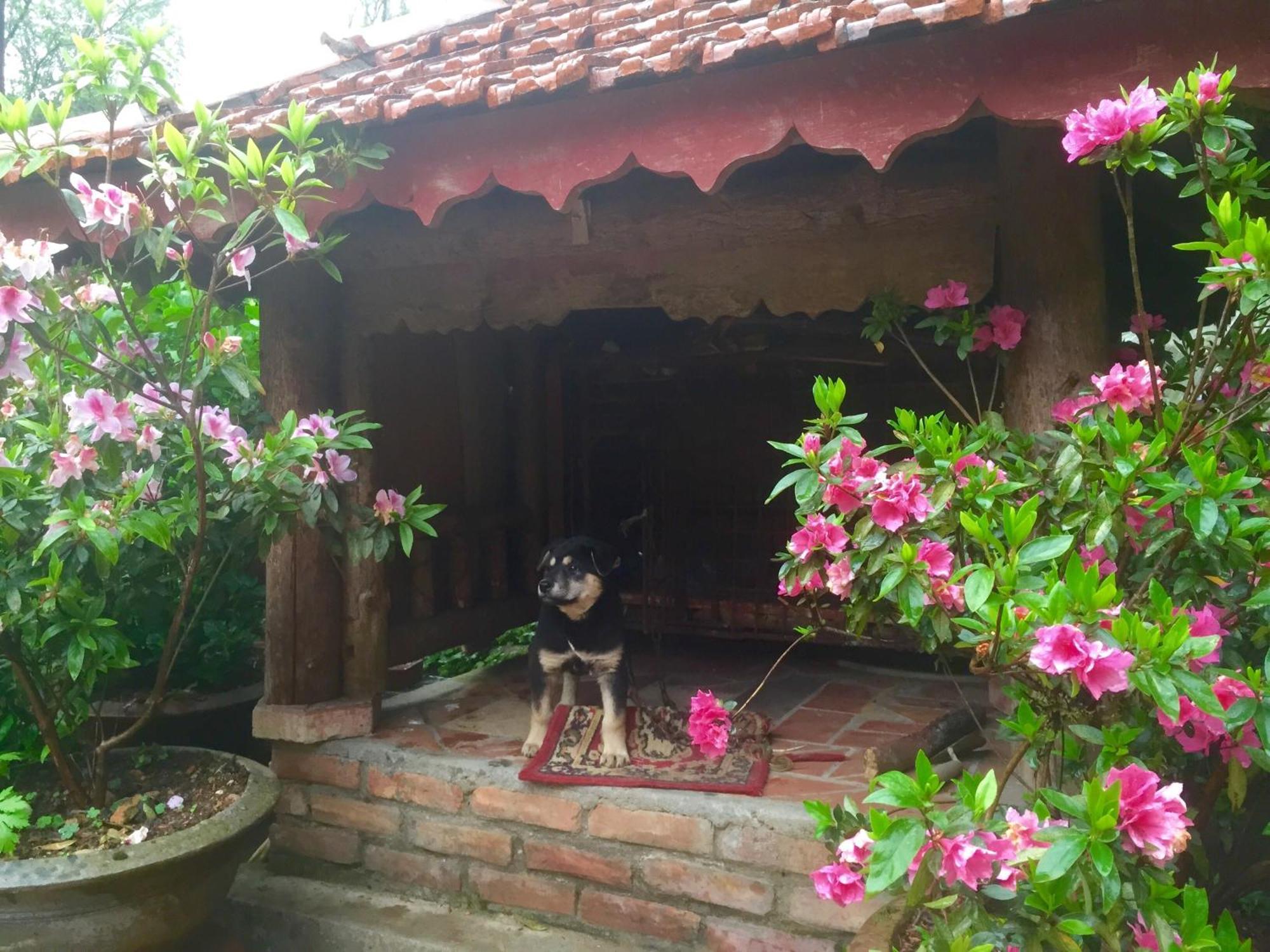 Garden Bed & Breakfast