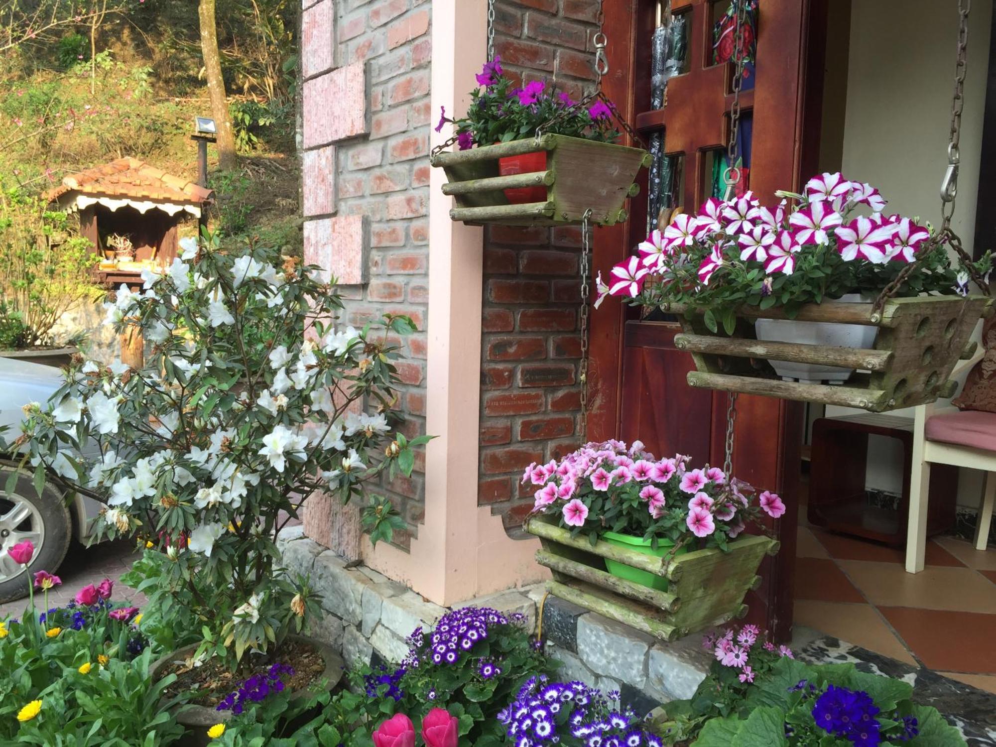 Garden 2*