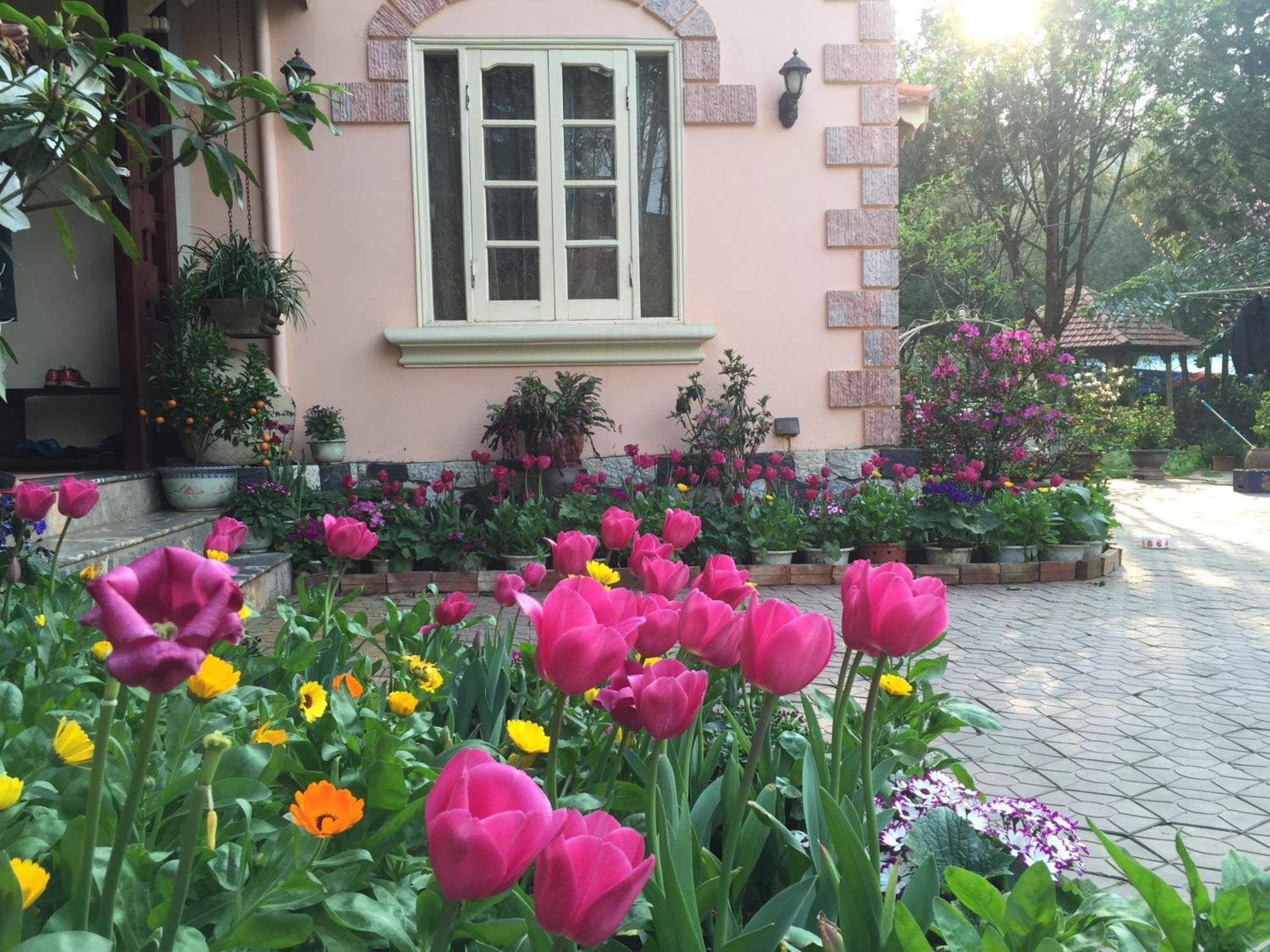 Garden Sa Pa