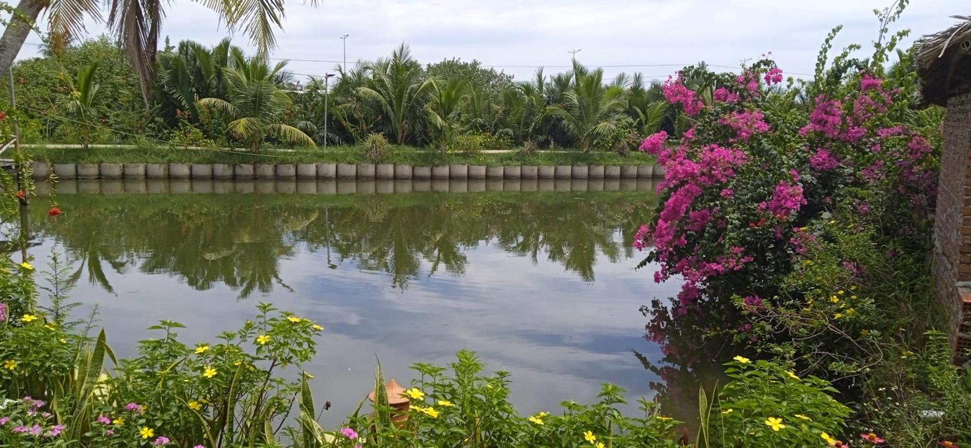 Ở trọ Lakeview *