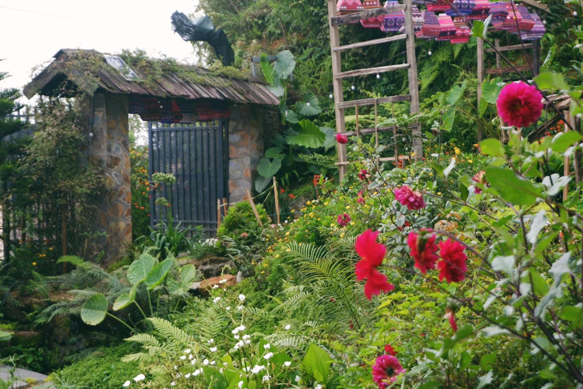 Bed & Breakfast Ta Phin Sa Pa