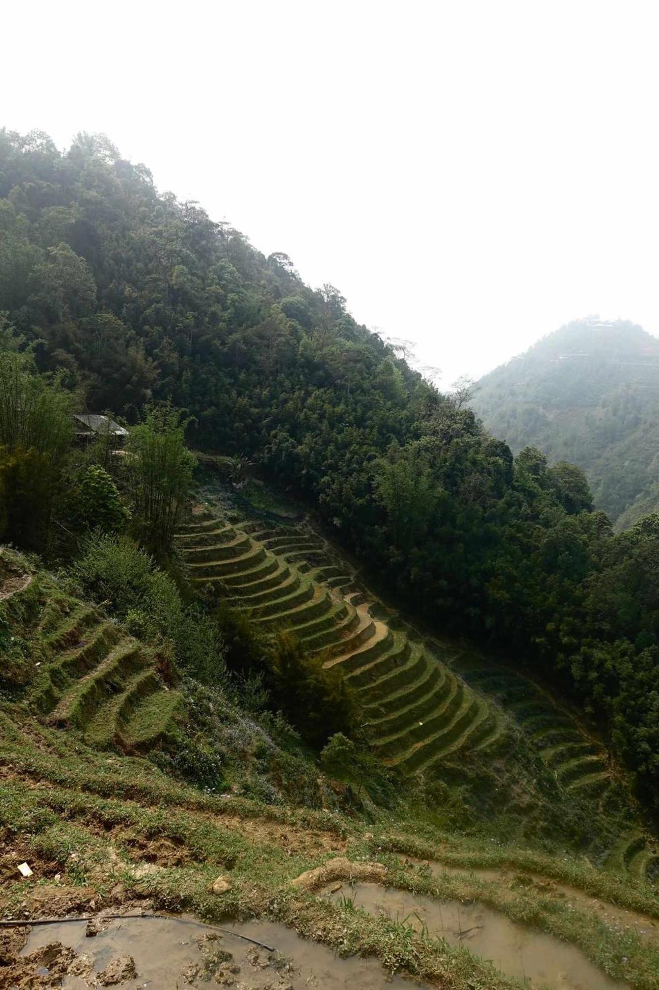 Surelee House And Trekking *