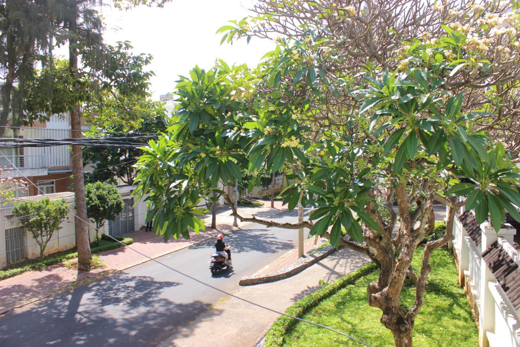 Lam Sơn