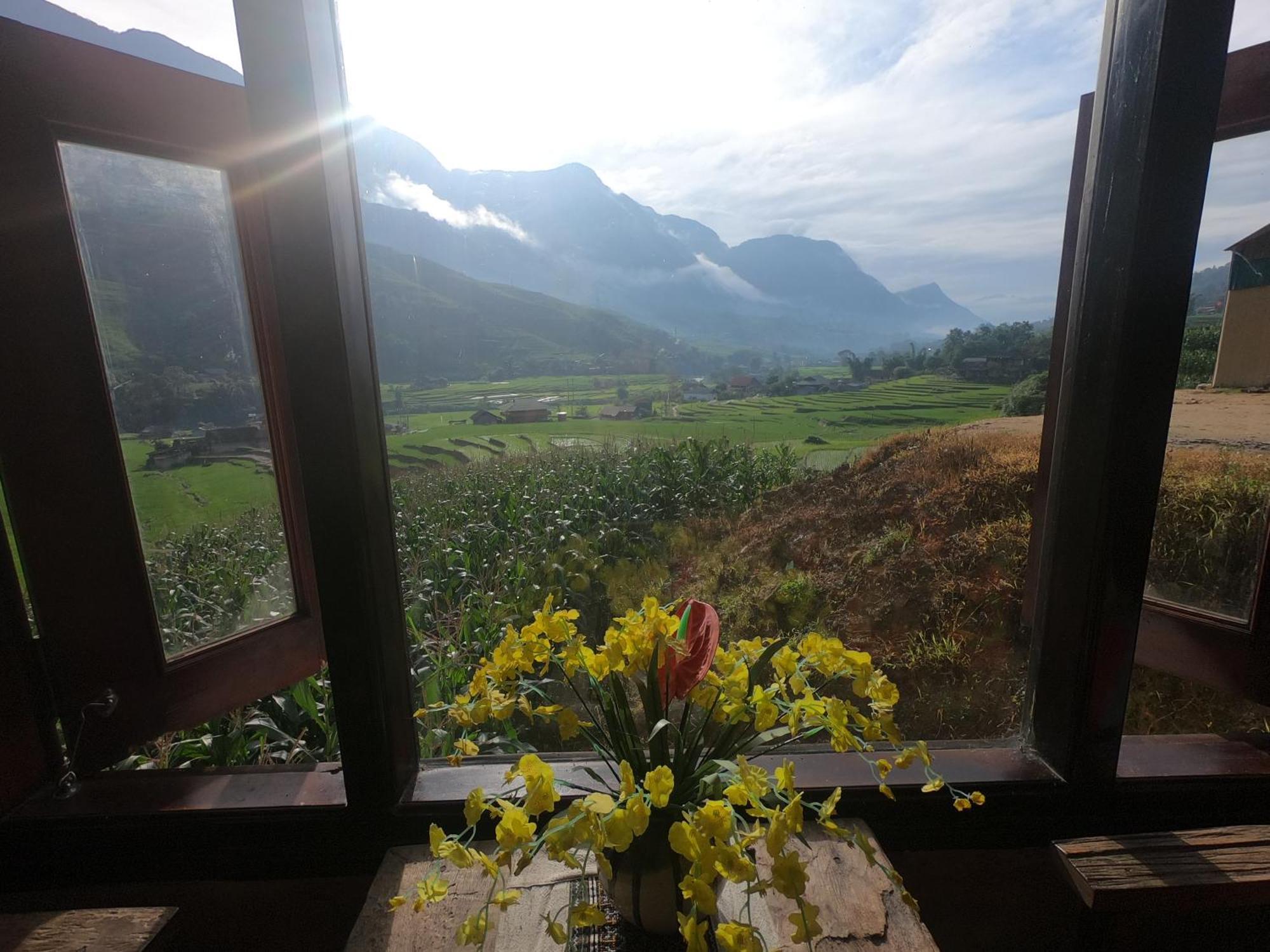 Hotel Amica House