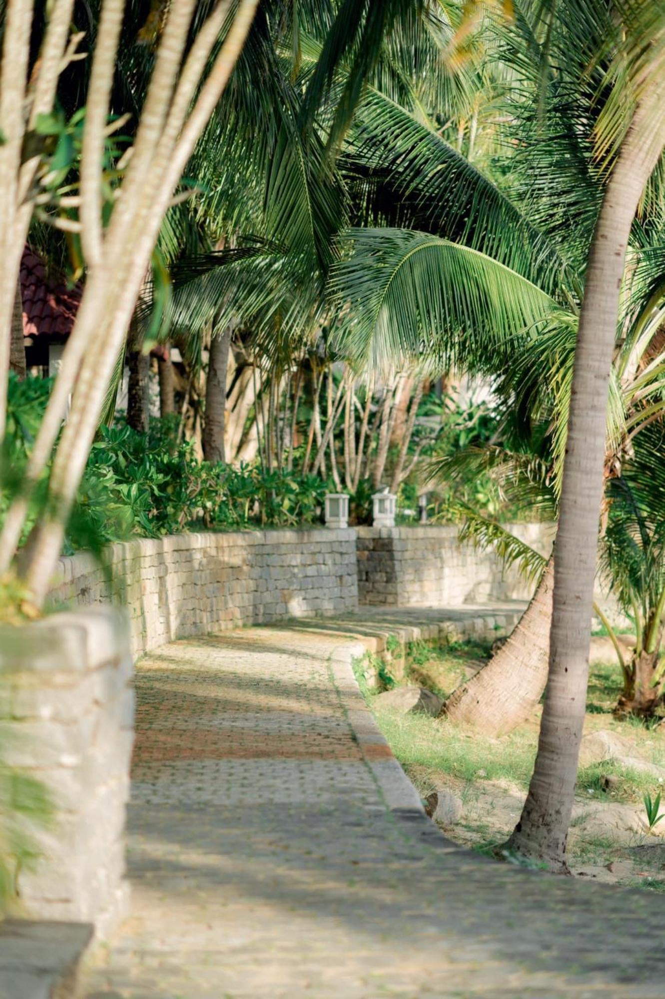 Dưỡng Sơn Trà 4*