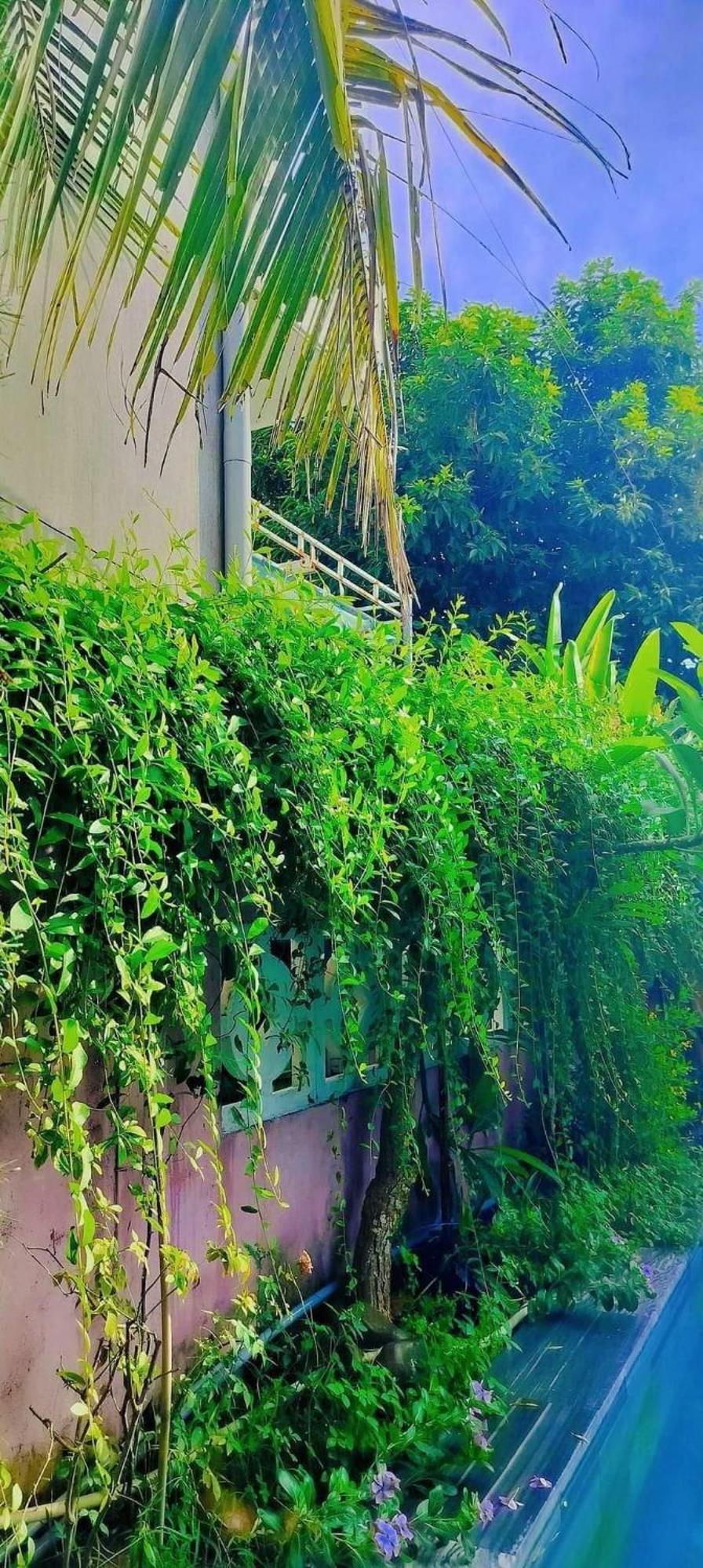Mountain House Biệt thự Hội An