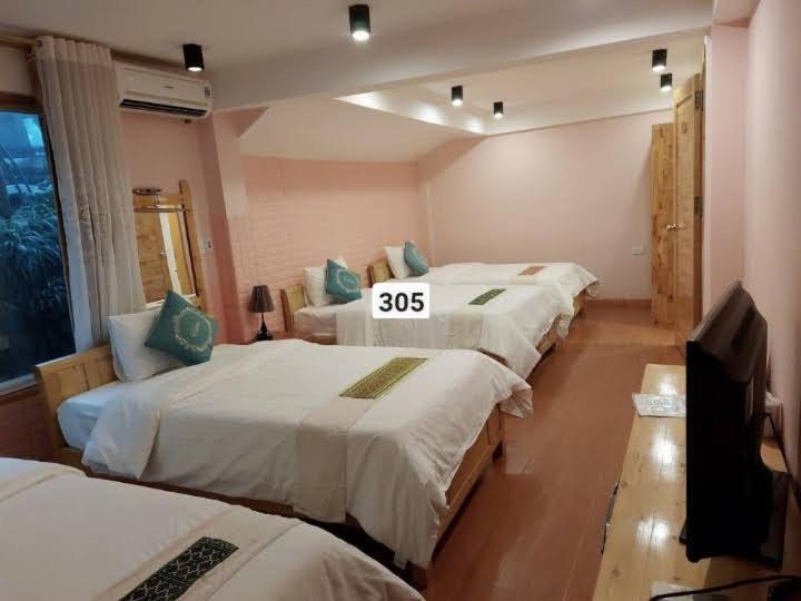 Hotel Scenery Sa Pa