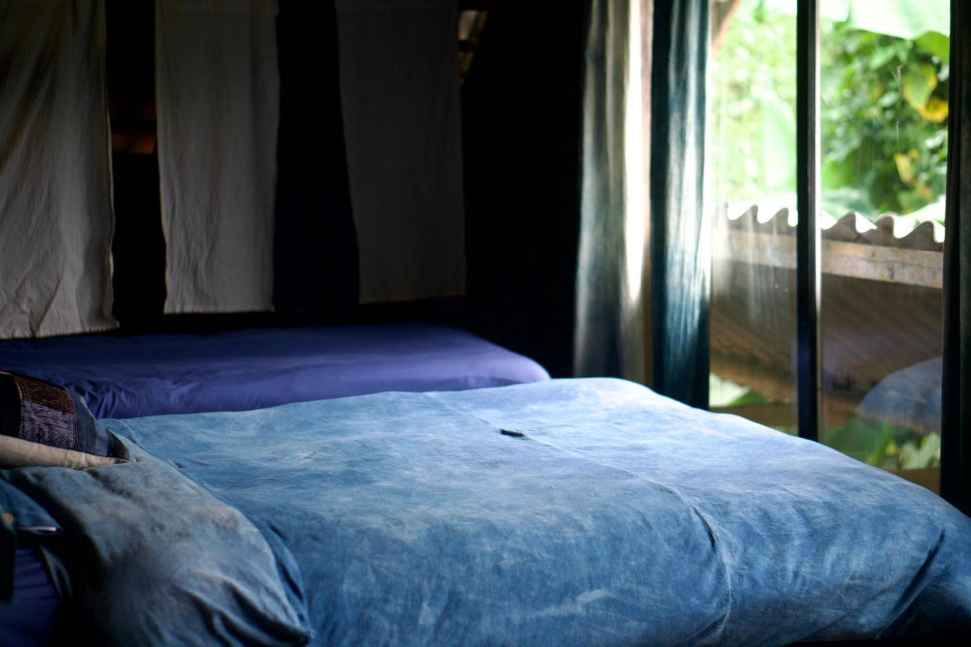 Bluebird - Cozy Indigo * Sa Pa