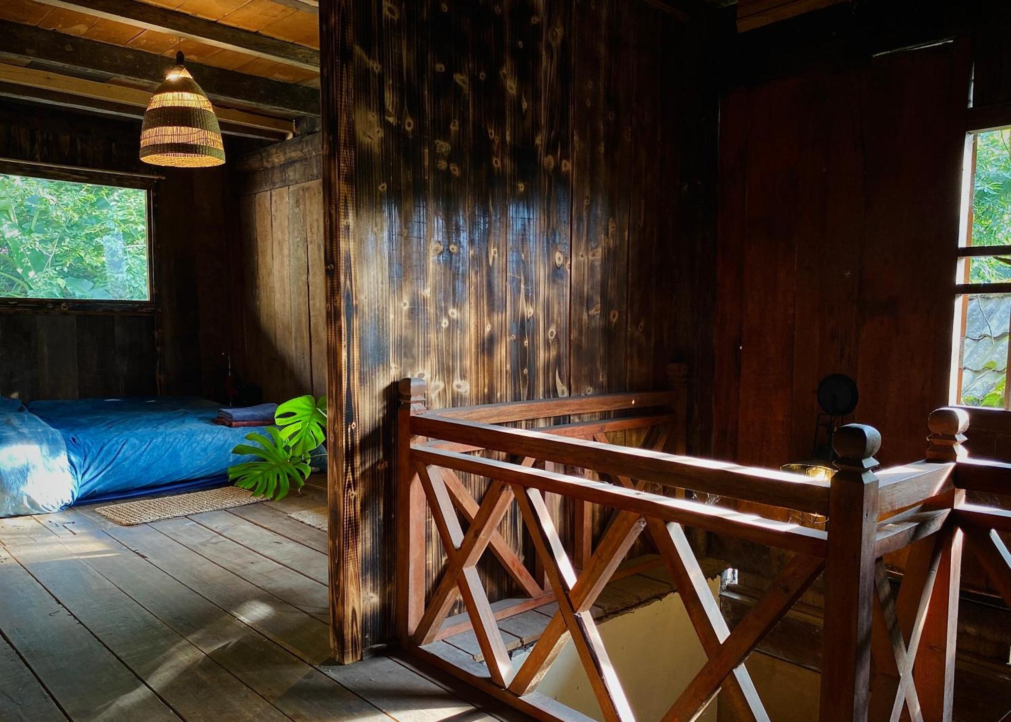 Bluebird - Cozy Indigo