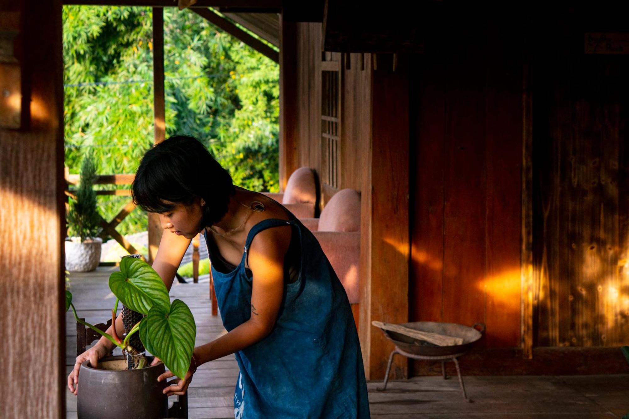 Bed & Breakfast Bluebird - Cozy Indigo *