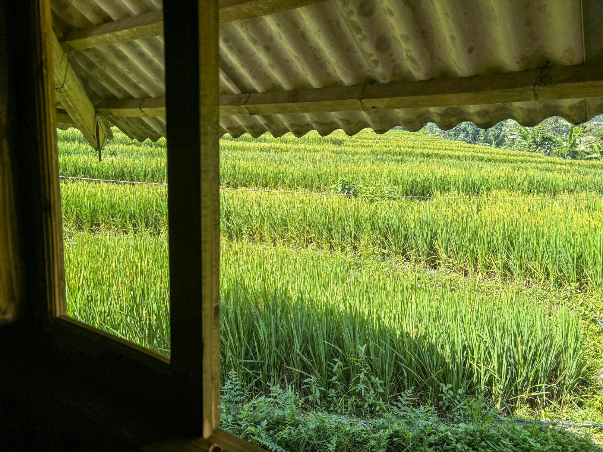 Homestay Tranquilla Sa Pa