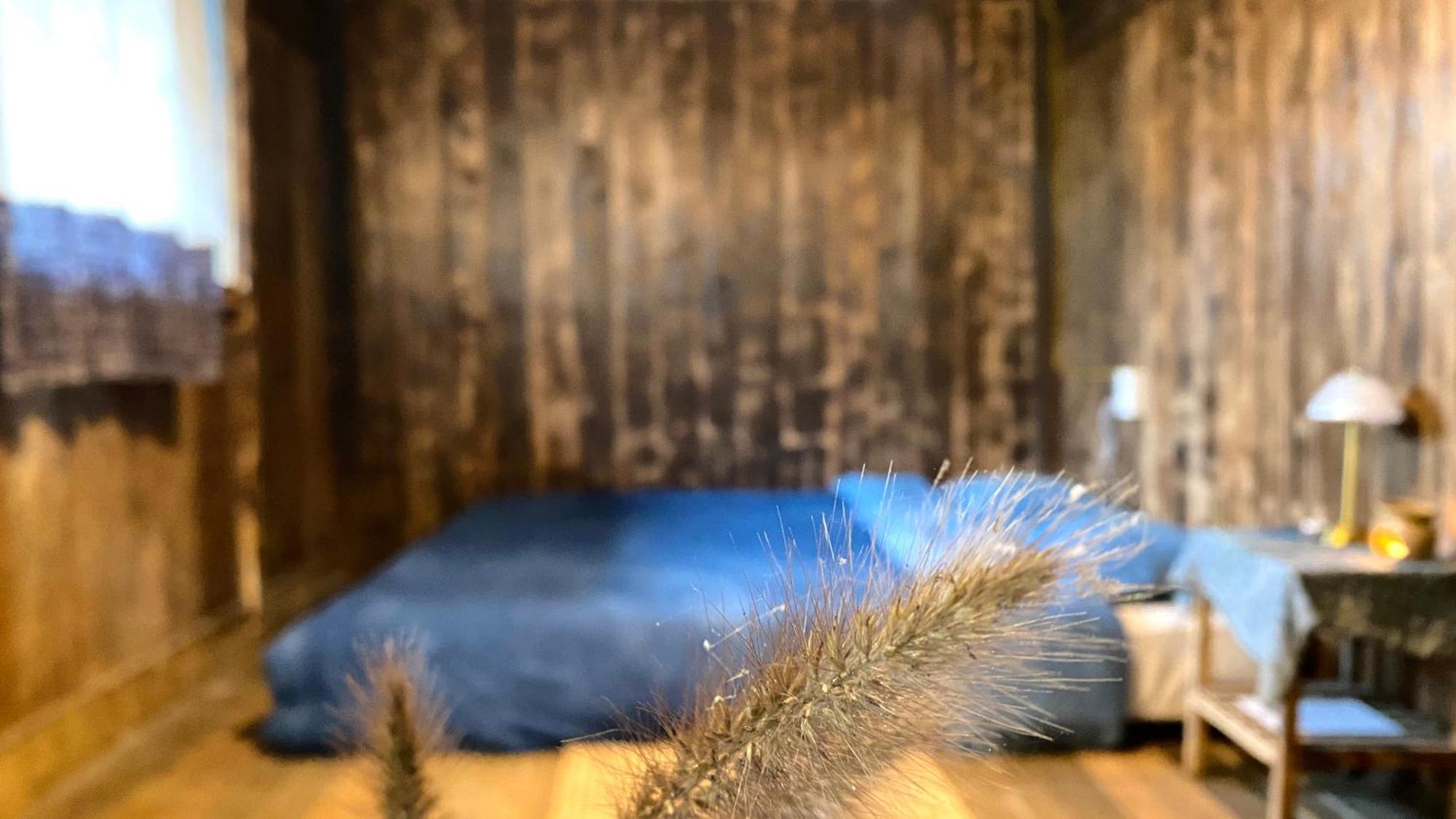 Bluebird - Cozy Indigo Bed & Breakfast *