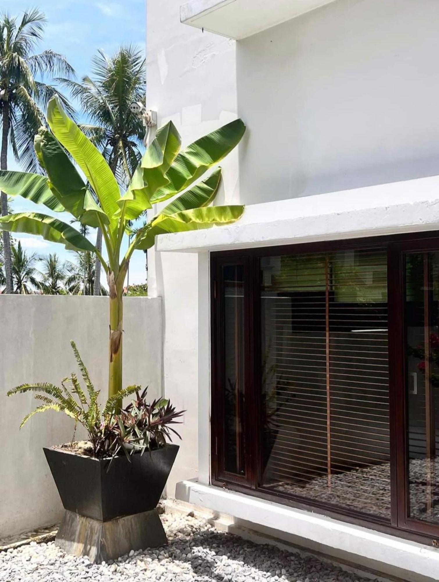 Khách sạn The 4*
