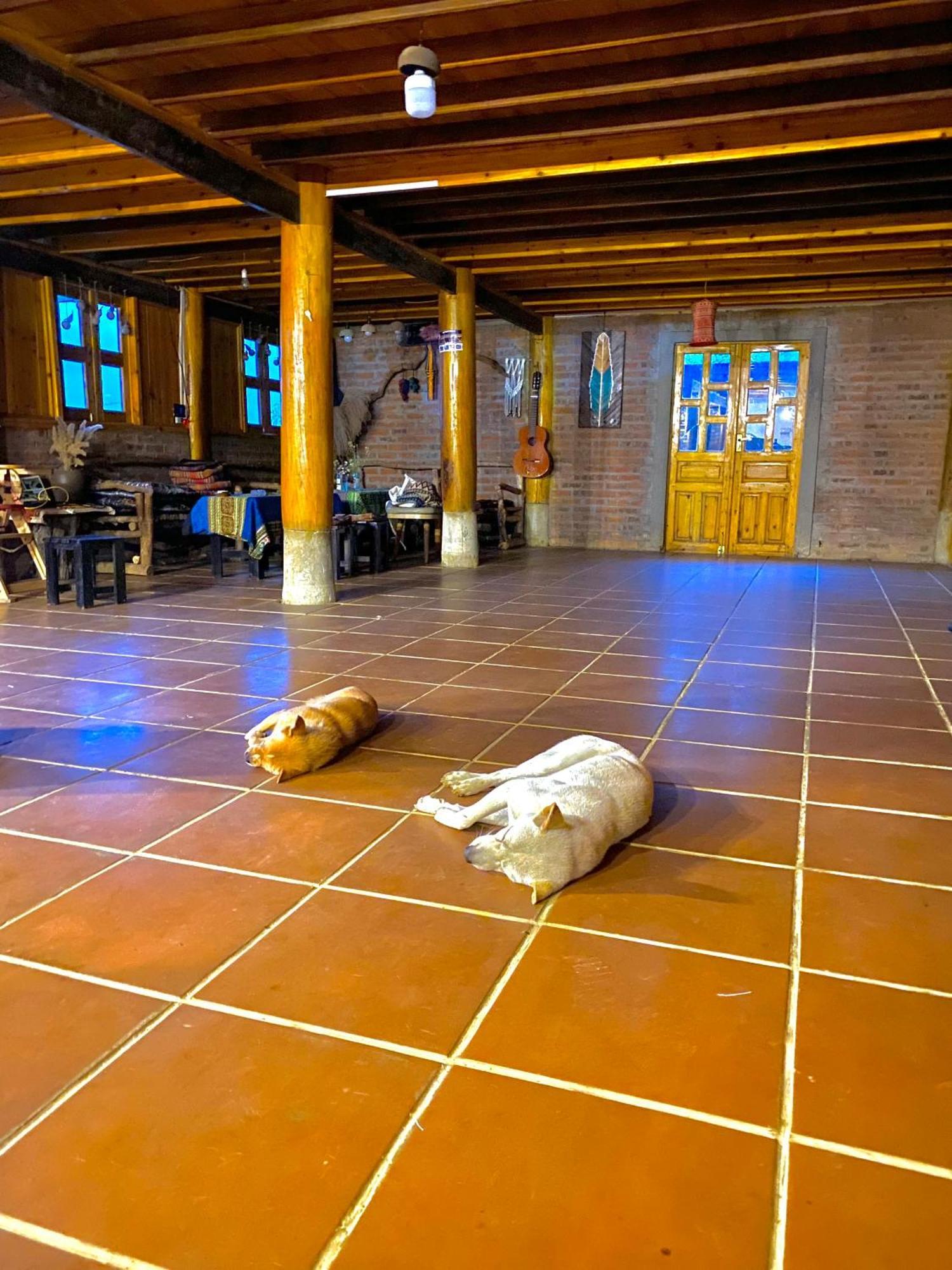 Homestay Pham's House - & Cafe Sa Pa