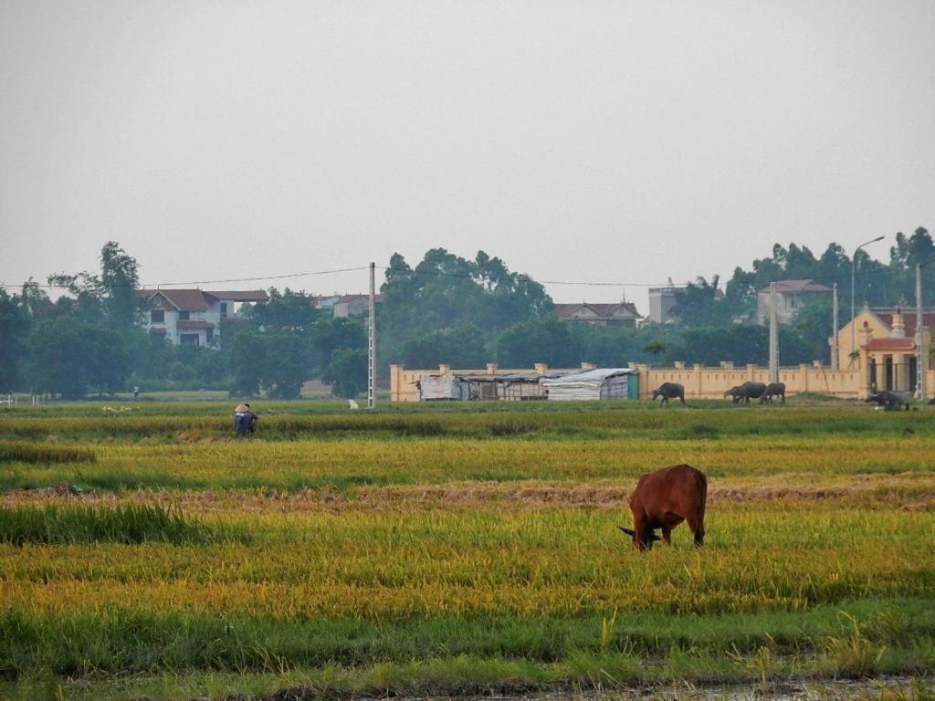 Viet Village 3*