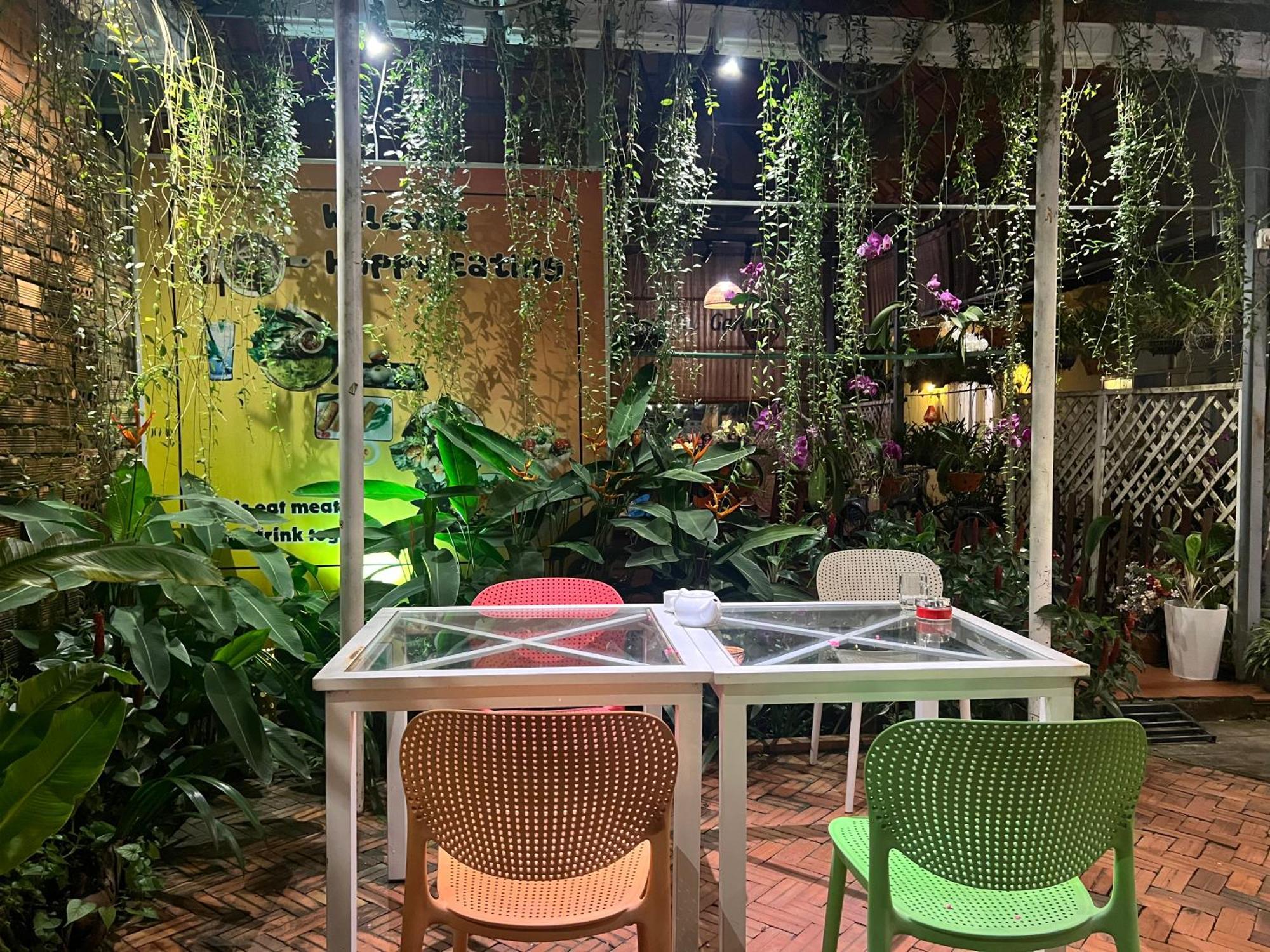 Tropical Garden *