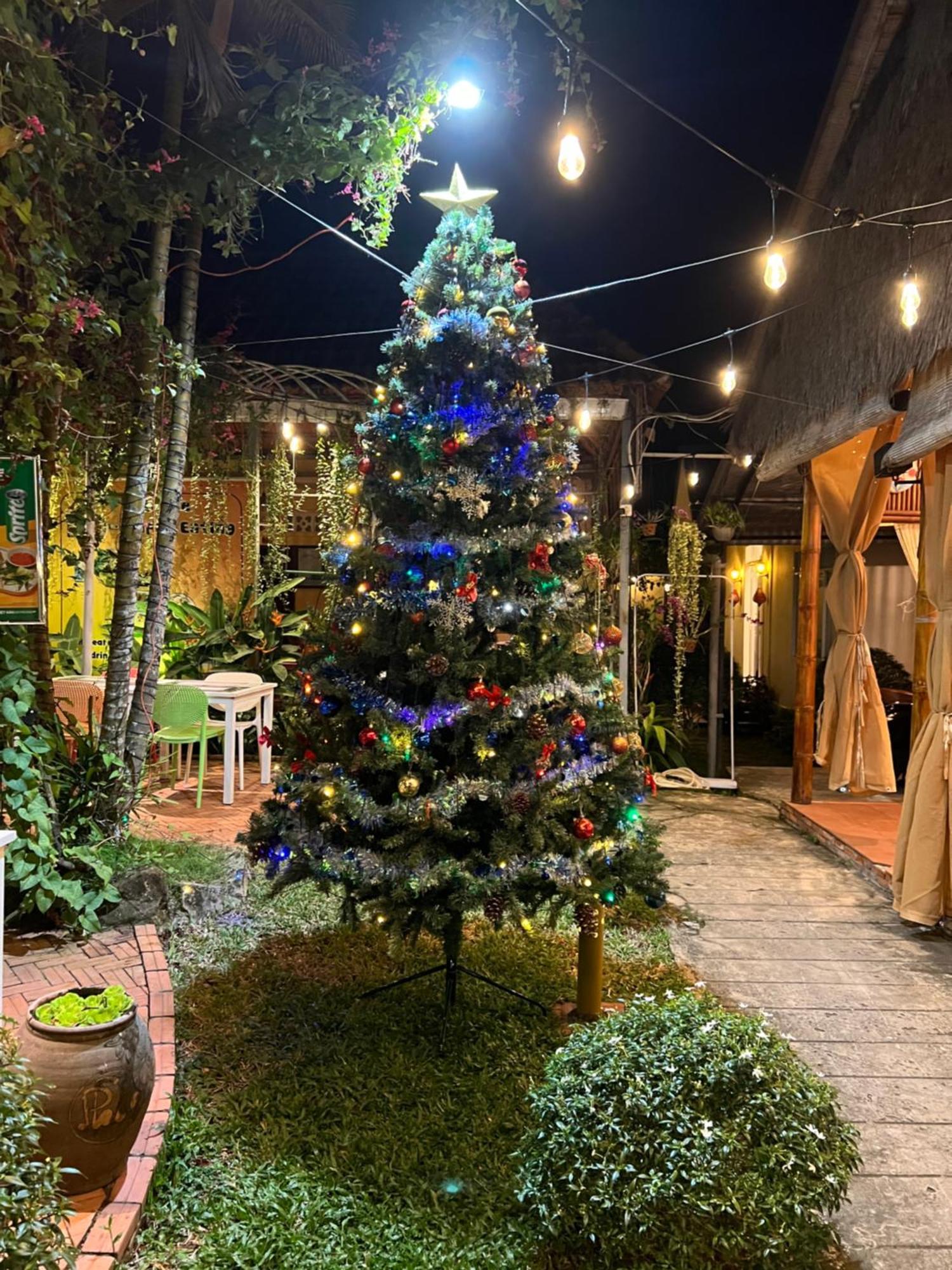 Tropical Garden Homestay Phu Quoc