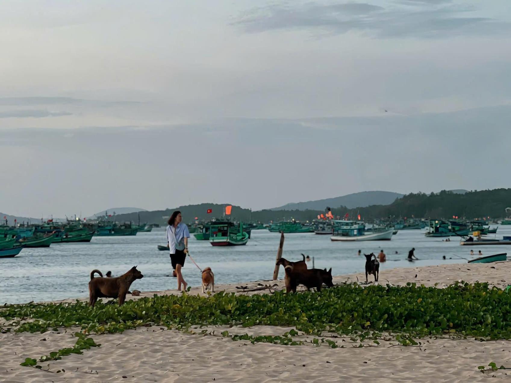 Soho 1 Phu Quoc