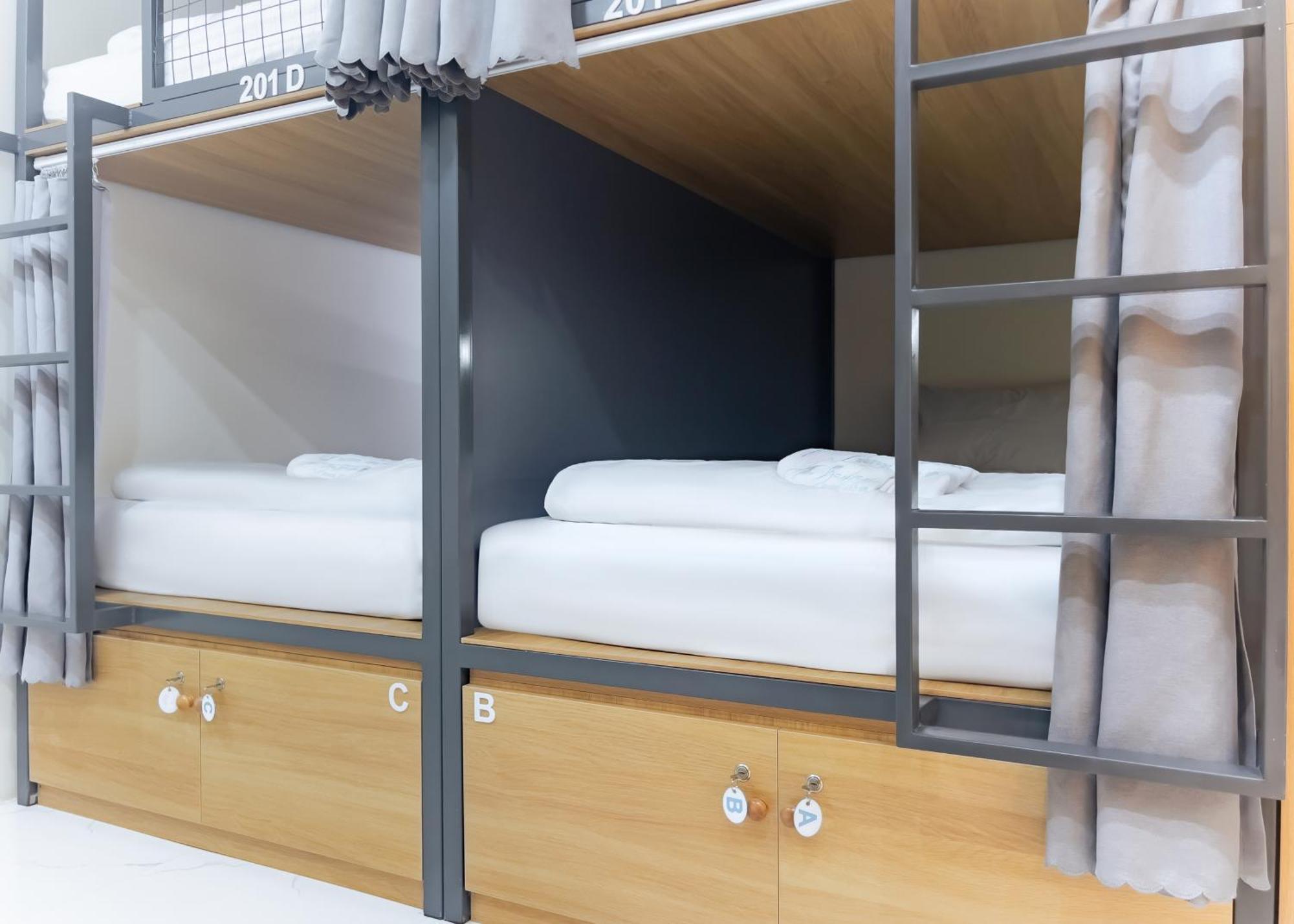 Hostel The Backpacker And