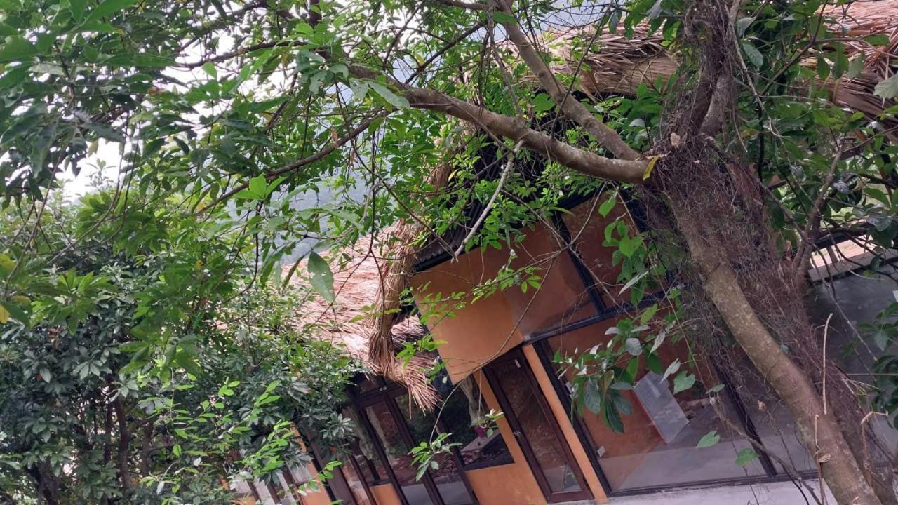 La Vie Est Belle - Wellness, Yoga And Meditation Hanoi