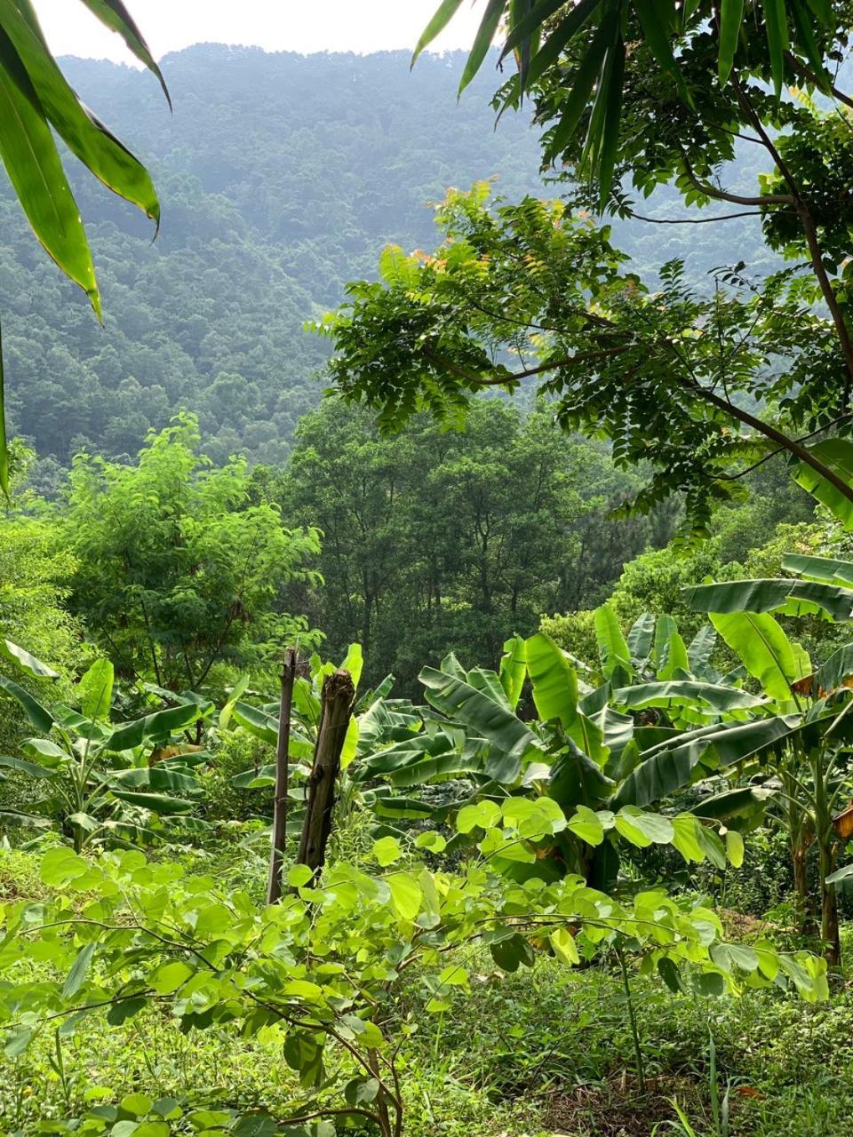 La Vie Est Belle - Wellness, Yoga And Meditation Campsite