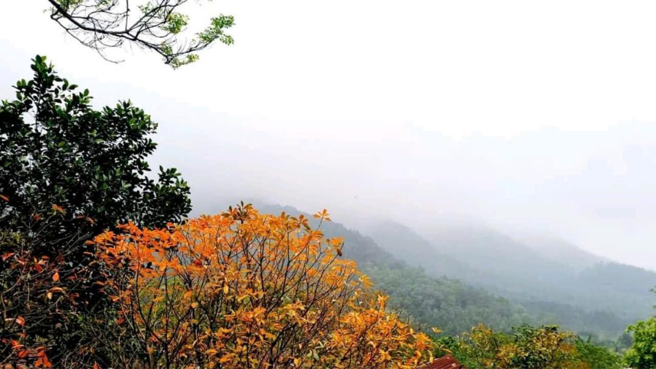 La Vie Est Belle - Wellness, Yoga And Meditation Hanoi