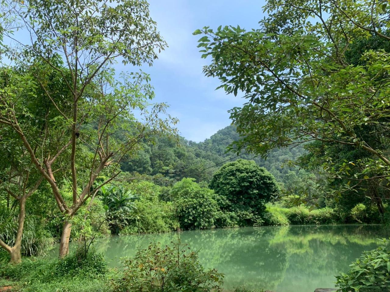 La Vie Est Belle - Wellness, Yoga And Meditation Hanoi
